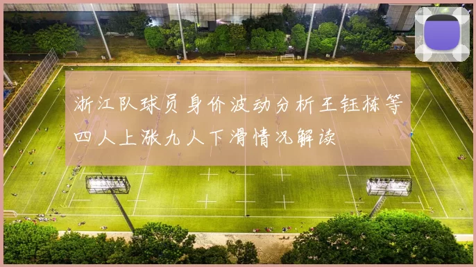 浙江队球员身价波动分析王钰栋等四人上涨九人下滑情况解读