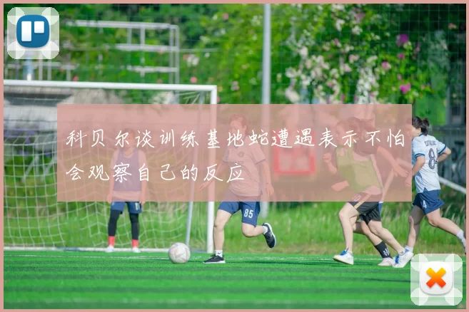 科贝尔谈训练基地蛇遭遇表示不怕会观察自己的反应