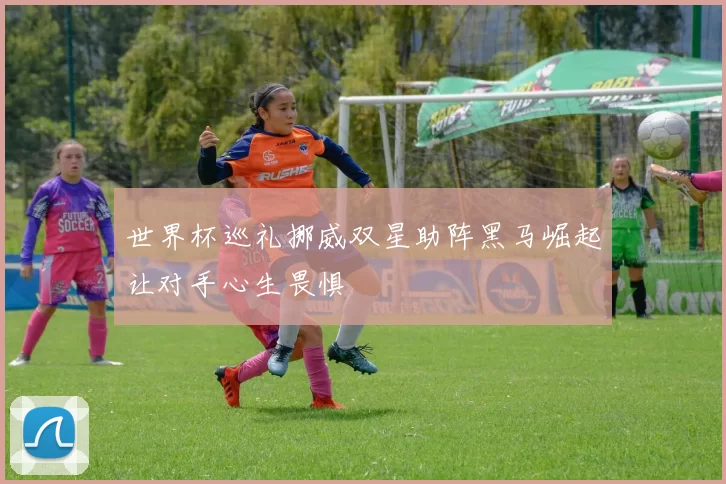 世界杯巡礼挪威双星助阵黑马崛起让对手心生畏惧